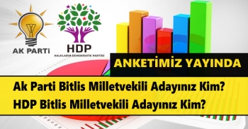Bitlis Milletvekili Adayınız Kim Olsun Anketi Yayında