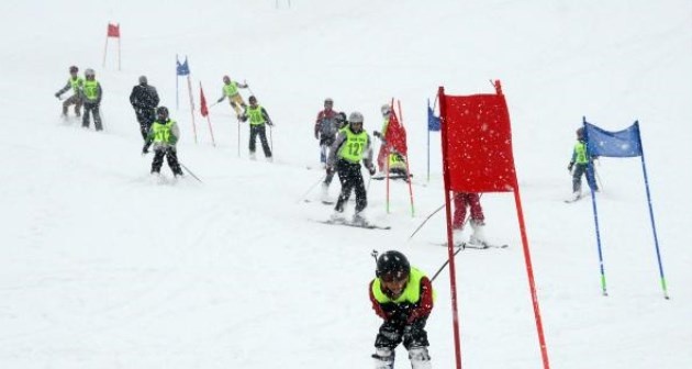 Bitlis'te Alp Disiplini İl Birinciliği kayak yarışması düzenlendi