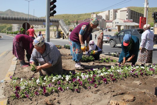 Bitlis Belediyesi Ahmet Eren Bulvarı üzerinde bulunan orta refüjlerde yaptığı çalışmalarda sona geldi. Çeşitli renklerdeki çiçeklerin ekildiği refüjler görünüm açısından güzel olacak.