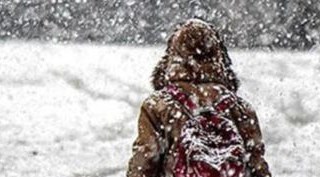 Bitlis'te kardan yollar kapandı okullar yarın da tatil edildi