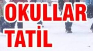 Bitlis ve bağlı 4 ilçede okullar tatil edildi