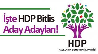 HDP Bitlis Milletvekili Aday Adayı Listesi Netleşiyor!