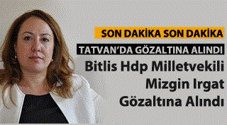 Hdp Bitlis Milletvekili Mizgin Irgat gözaltına alındı