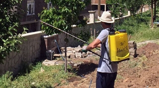 Köy okulunda daha yeşil bir gelecek için haşere temizliği çalışması