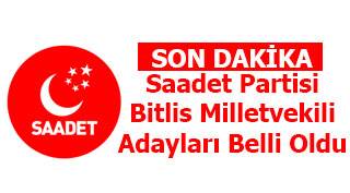 Saadet Partisi Bitlis Milletvekili Adayları Belli Oldu
