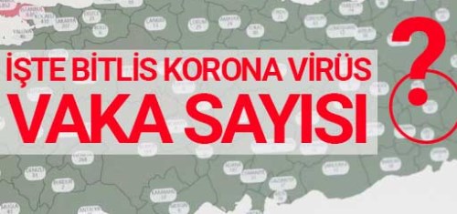 Son dakika: Bitlis'te koronavirüs vaka sayısı açıklandı