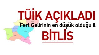 TÜİK: Fert gelirinin en düşük olduğu il Bitlis!