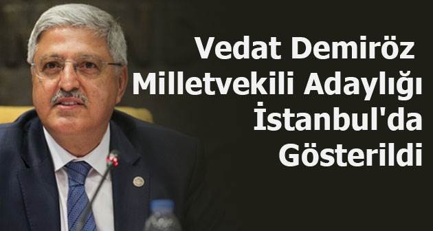 AK Parti Bitlis Milletvekili Demiröz İstanbul'da Gösterildi