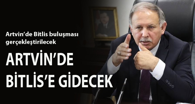Artvin Bitlis kardeşliği projesi gerçeleştirilecek