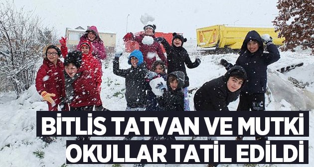 Bitlis, Tatvan ve Mutki'de okullar tatil edildi