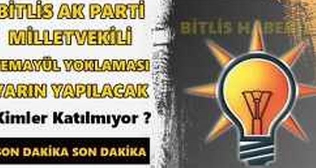 Bitlis Ak Parti Temayül Yoklaması Yarın Yapılacak