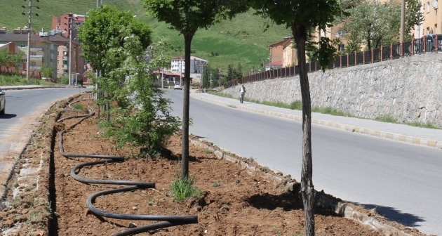 Bitlis Belediyesinden refüj çalışması