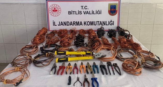 Bitlis'in 3 ilçesinde hırsızlık yaptıkları iddia edilen 8 şüpheli yakalandı
