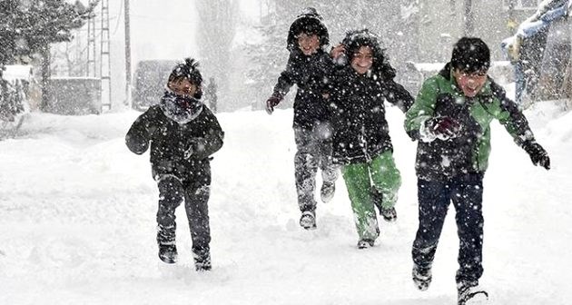 Bitlis'in 6 ilçesinde eğitime kar engeli