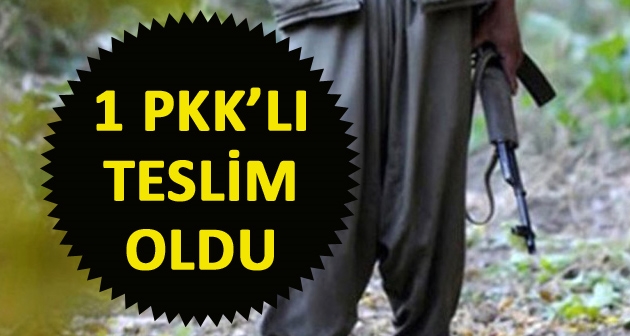 Bitlis'te 1 PKK'lı teslim olduğu bildirildi