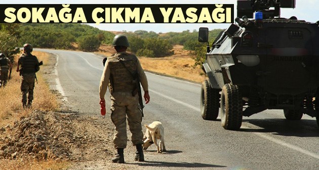 Bitlis’te 14 köy ve mezrada, 6 gün sokağa çıkma yasağı