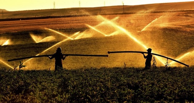 Bitlis'te 7.500 dekar tarım arazisi sulandı