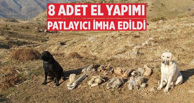 Bitlis'te 8 el yapımı patlayıcı imha edildi