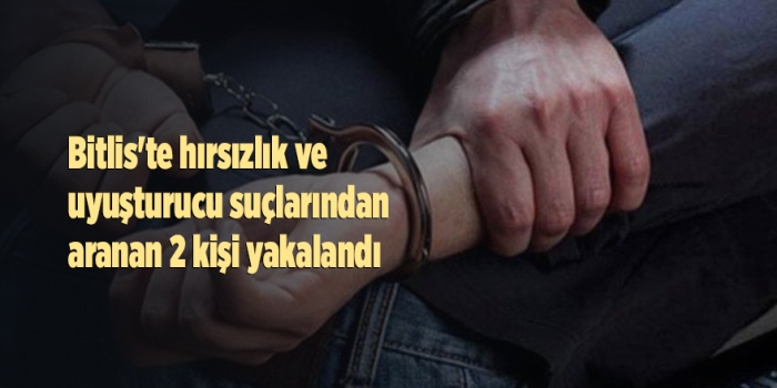 Bitlis'te çeşitli suçlardan aranan 2 kişi yakalandı