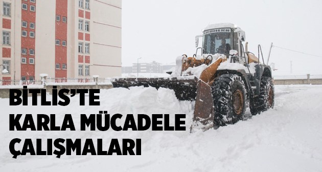 Bitlis'te karla mücadele çalışması