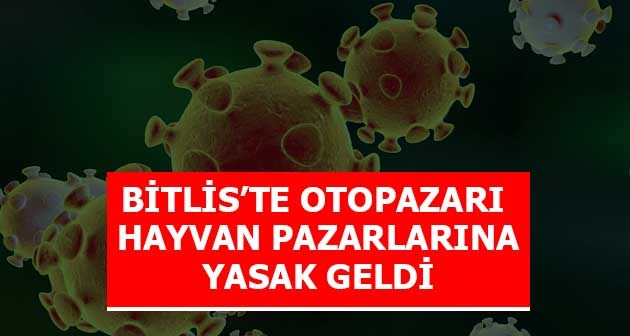 Bitlis'te korona virüs nedeniyle hayvan pazarı ve oto pazarı yasaklandı!