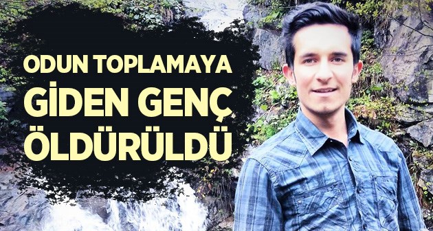 Bitlis'te odun toplamaya giden genç öldürüldü!