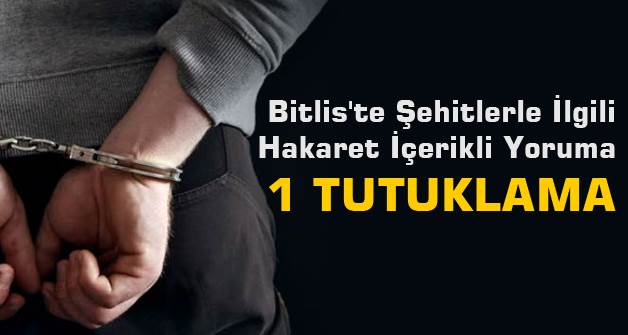 Bitlis'te şehitlerle ilgili hakaret içerikli yoruma 1 tutuklama