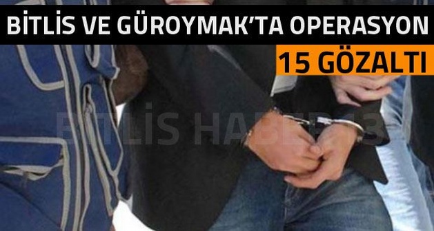Bitlis ve Güroymak'ta operasyon 15 gözaltı