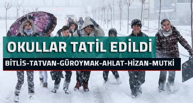 Bitlis ve ilçelerinde kar tatili: Okullar 1 gün daha tatil edildi