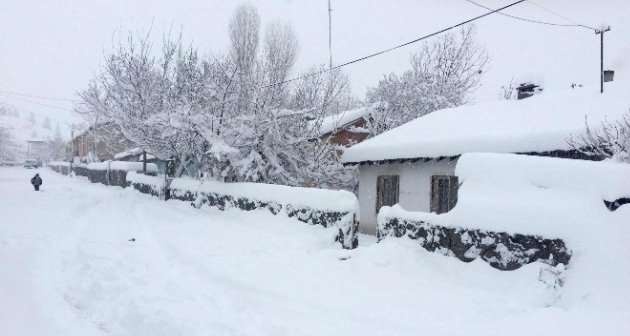 Bitlis ve İlçelerinde kar temizleme çalışmaları