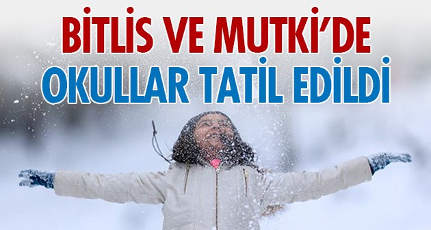 Bitlis ve Mutki'de Eğitime Kar Engeli
