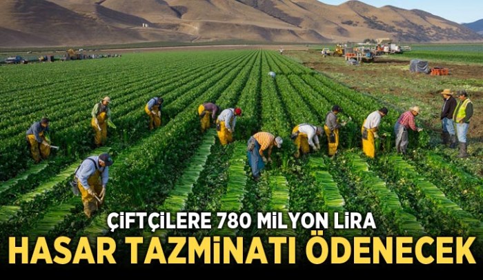 Çiftçilere 780 milyon lira hasar tazminatı ödenecek