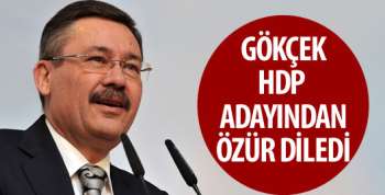 Gökçek HDP adayından özür diledi!