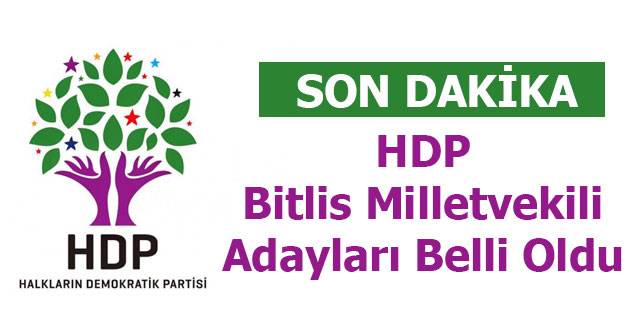 HDP Bitlis Milletvekili Adayları Belli Oldu