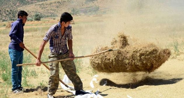 Hizan'da çiftçilerin zorlu patos mesaisi sürüyor