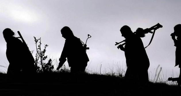 Hizan'da PKK'lı bir grup köy muhtarını kaçırdı