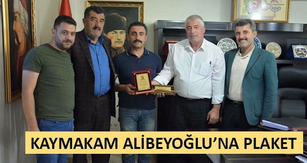 Köy muhtarından Kaymakam Alibeyoğlu’na plaket