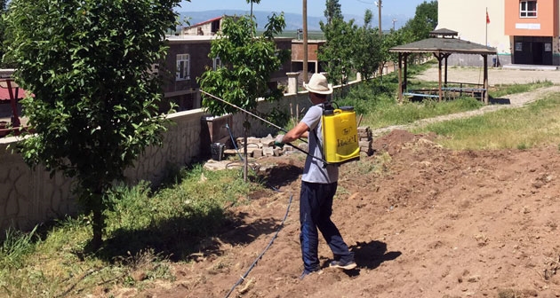 Köy okulunda daha yeşil bir gelecek için haşere temizliği çalışması