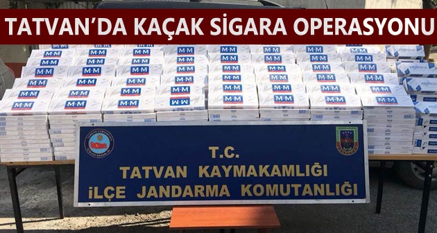 Tatvan'da 10 bin paket kaçak sigara ele geçirildi