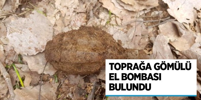 Tatvan ilçe kırsalında toprağa gömülü el bombası ele geçirildi