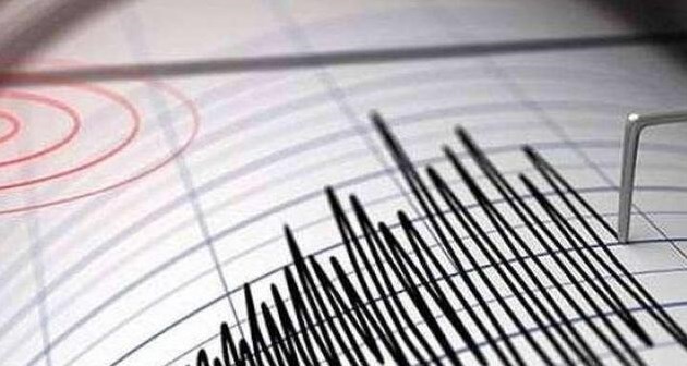 Van'daki deprem Bitlis'te hissedildi