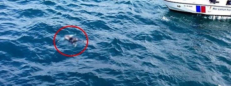 Tatvan Van Gölü kıyısında çürümüş erkek cesedi bulundu